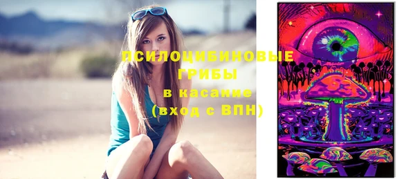 шишки Балахна