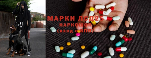 шишки Балахна