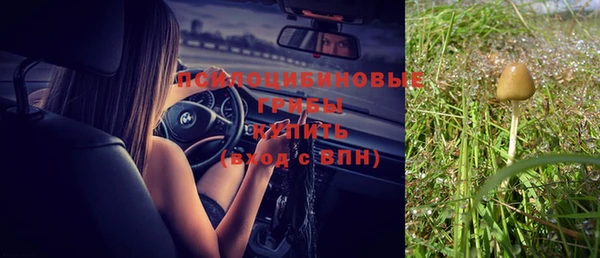 мдпв Балабаново