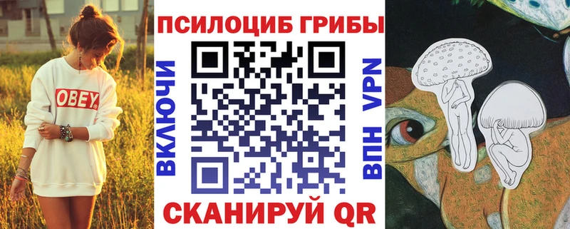 Псилоцибиновые грибы Cubensis  MEGA зеркало  это как зайти  Череповец 