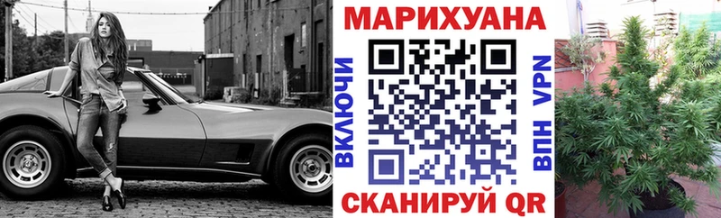 Каннабис сатива Череповец